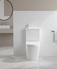 Load image into Gallery viewer, 2 in 1 Toilet Basin Combo Combined Toilet and Sink #2866