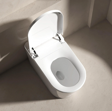Load image into Gallery viewer, Smart Modern Bidet Toilet, with Heated Seat, Dual Auto Flush #802C