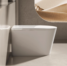 Load image into Gallery viewer, Smart Modern Bidet Toilet, with Heated Seat, Dual Auto Flush #802C
