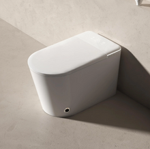 Load image into Gallery viewer, Smart Modern Bidet Toilet, with Heated Seat, Dual Auto Flush #802C