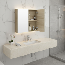 Load image into Gallery viewer, The European Bathroom Mirror Cabinet 100% WaterProof - 700/900 Wooden