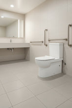 Load image into Gallery viewer, Handicapped Standard 3L/4.5L Dual-Flush Two Piece Toilet Ceramic Disable Toilets