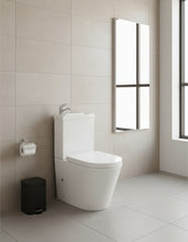 Load image into Gallery viewer, 2 in 1 Toilet Basin Combo Combined Toilet and Sink #2866