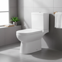 Load image into Gallery viewer, Toilet Gazia