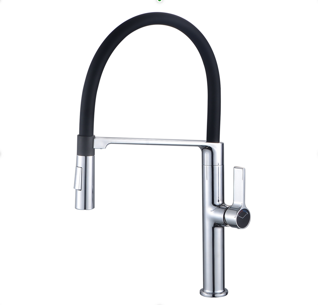 Kitchen Sink Faucet with Magnetic Docking Spray Head