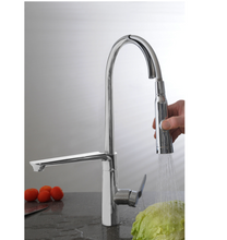 Load image into Gallery viewer, Aquatica Alina Sink Mixer with Spray
