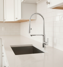 Load image into Gallery viewer, Aquatica Alina Sink Mixer with Spray
