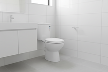 Load image into Gallery viewer, Aquatica Perlo Toilet with P Trap
