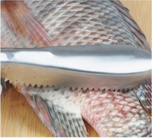 Load image into Gallery viewer, Stainless Steel Fish Scale Cleaner Scraper Fish Scale Peeler Remover
