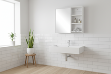 Load image into Gallery viewer, The European Bathroom Mirror Cabinet 700mm 100% WaterProof
