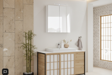 Load image into Gallery viewer, Bathroom Mirror Cabinet 600/700/900x140x700 mm - White
